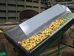 Конвейер для овощей - Спроектируем, изготовим за 10 дней.